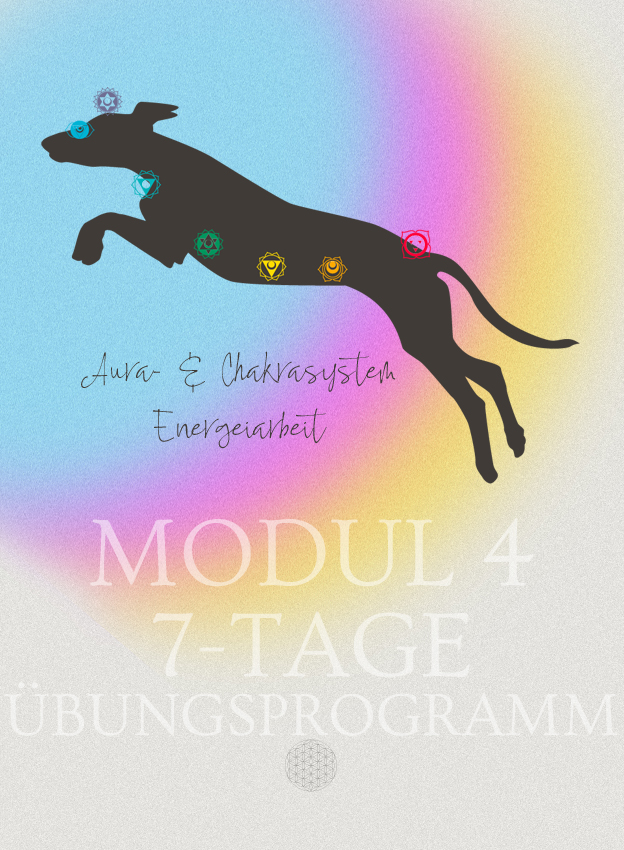 Energiearbeit für den Hund Onlinekurs Webinare Dog Human Walk Hundepsychologie Hundetraining Bitburg Wittlich Trier Rheinland Pfalz