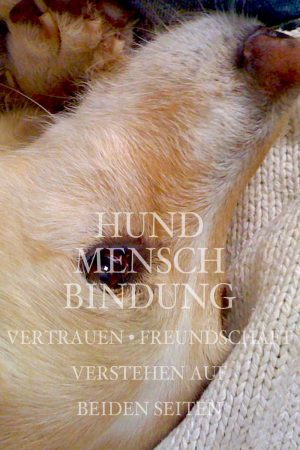 Hund Mensch Bindung verstehen und aufbauen Webinar Dog Human Walk Hundeschule Rheinland Pfalz Luxemburg Nordrhein Westfalen