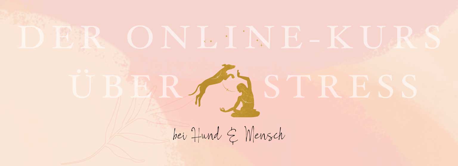 Hilf Deinem Hund Stress abzubauen & Ängste los zu lassen