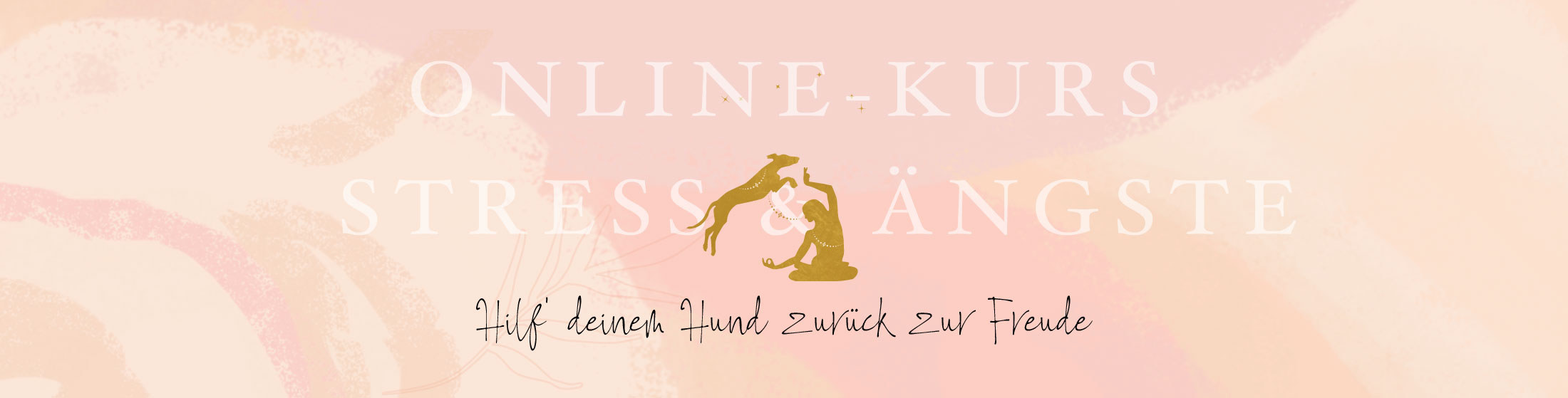 Stress und Ängste beim Hund Onlinekurs Vertrauen und Bindung aufbauen Hundetraining Hundepsychologie Dog Human Walk