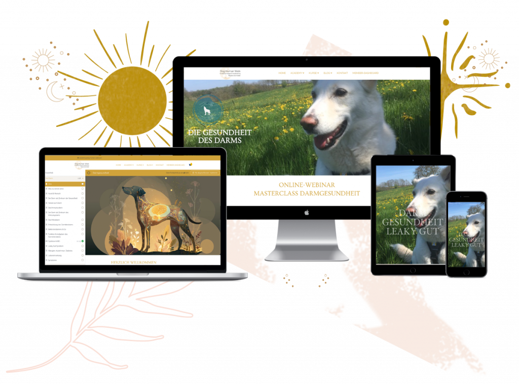 Darmgesundheit Hundeernährung Hundekrankheiten Onlinekurs Hundetraining Hundepsychologie Dog Human Walk