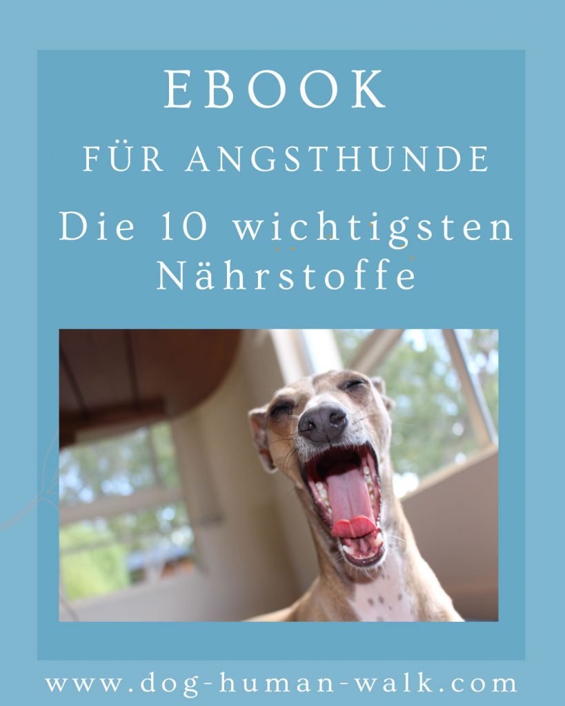 Die 10 wichtigsten Nährstoffe für Angsthunde und Unterstützung bei Stress Hundetraining Hundepsychologie Dog Human Walk