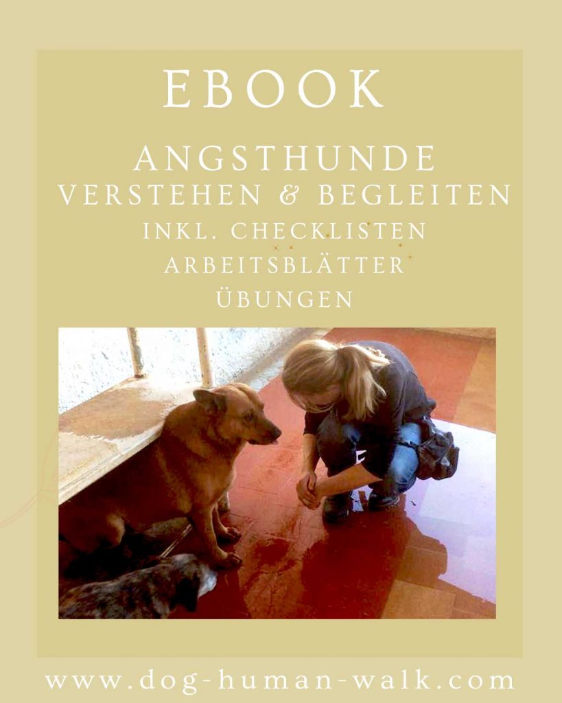 Angsthunde verstehen und begleiten Unterstützung bei Stress Hundetraining Hundepsychologie Dog Human Walk