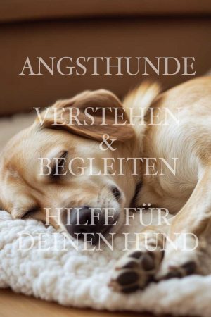 Onlinekurs Angsthunde verstehen und begleiten Unterstützung bei Angst Hundetraining Hundepsychologie Dog Human Walk