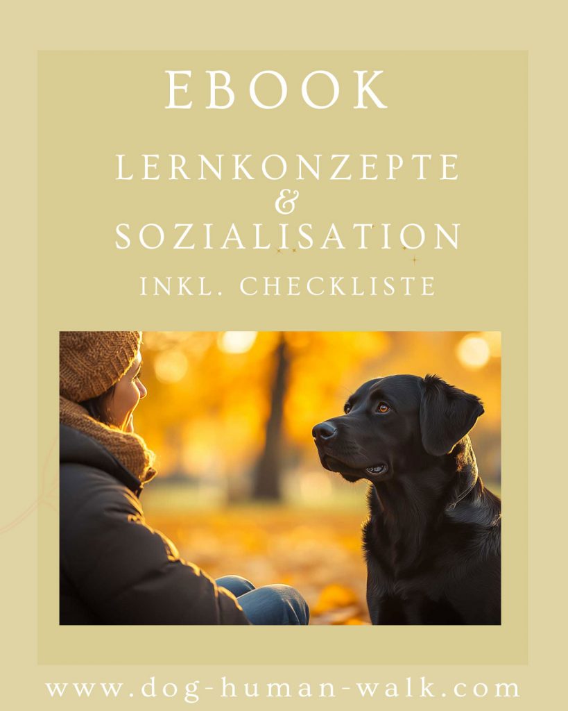 eBook - Lernkonzepte & Sozialisation Hundepsychologie Dog Human Walk Hundeschule Bitburg Rheinland Pfalz Online lernen