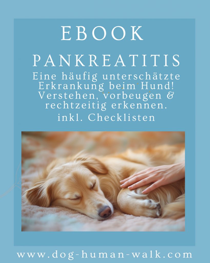 Pankreatitis Bauchspeicheldrüsenentzündung beim Hund verstehen, vorbeugen und erkennen eBook Dog Human Walk Hundepsychologie Hundetraining Tierheilpraxis