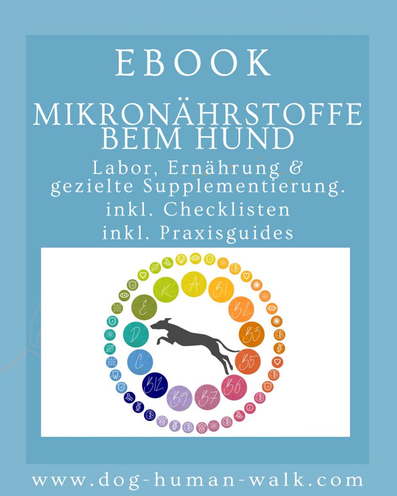 eBook Mikronährstoffe beim Hund Labor, Ernährung und gezielte Supplementierung verständlich erklärt Dog Human Walk Hundeschule Tierheilpraxis Hundepsychologie