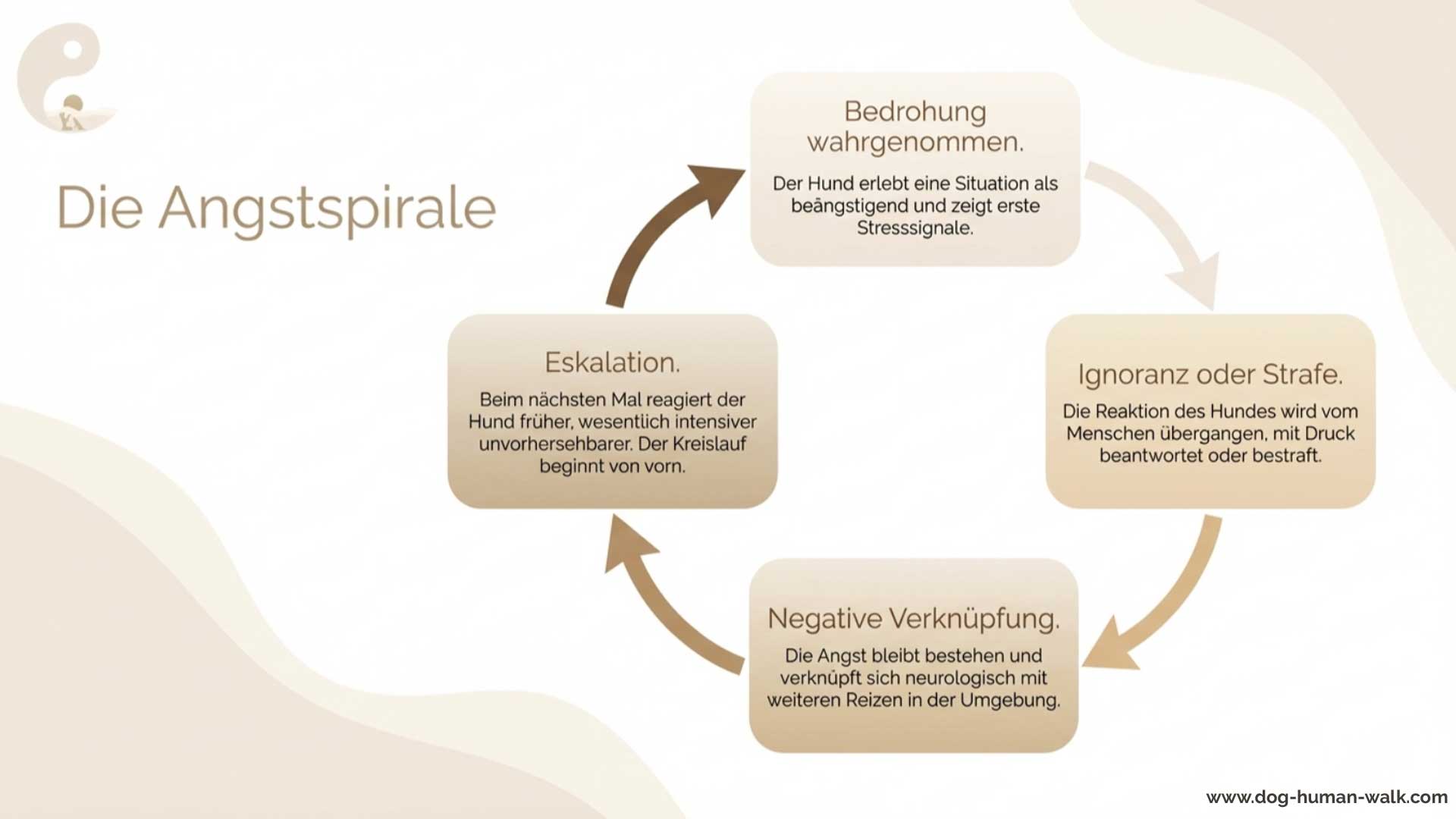Angstspirale Angsthunde verstehen